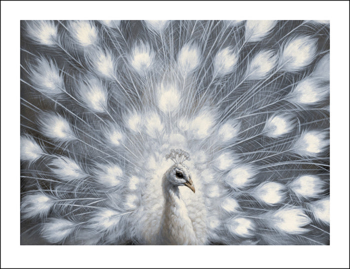 Peacock by Vanessa Foley, 24" x 18" Screen Print