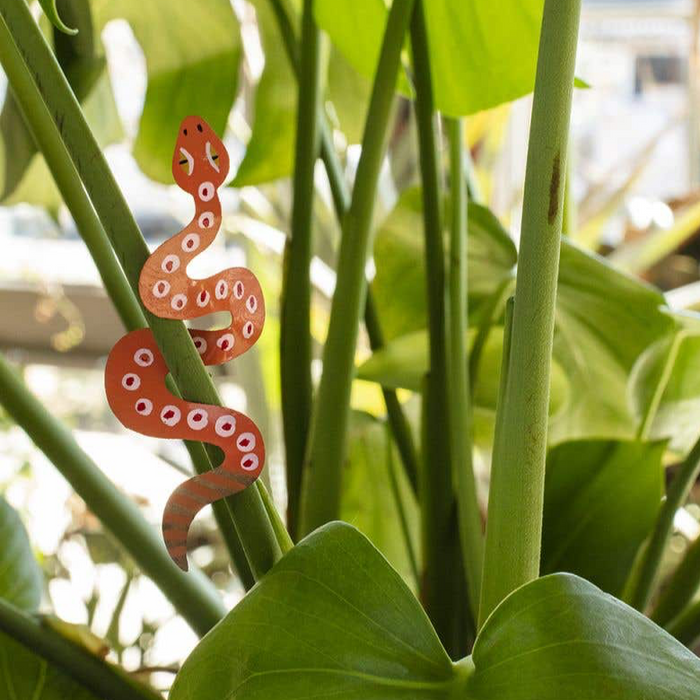 Plant Pal - Snake