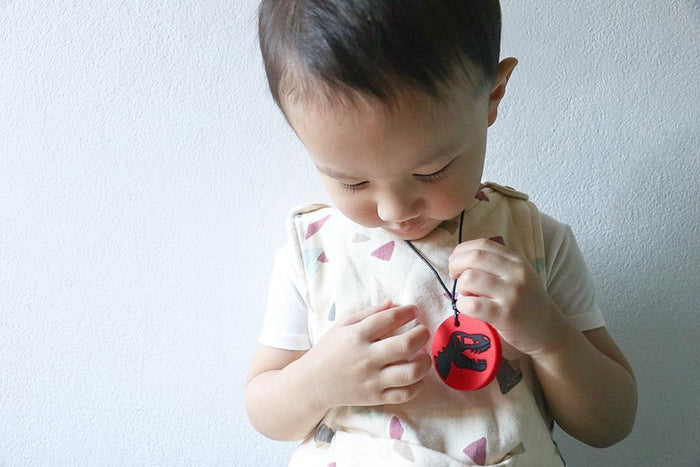 Sensory Chew Pendant - Red Dinosaur