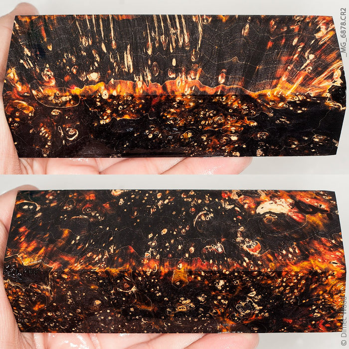 Stabilized wood box elder burl block