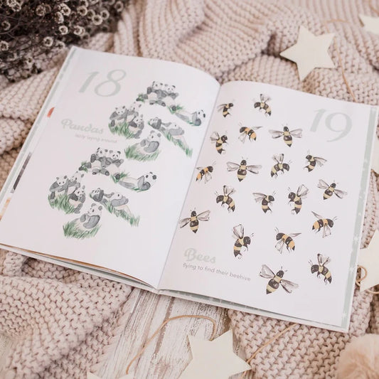 Adored Illustrations The Amazing 123 Hardcover Book