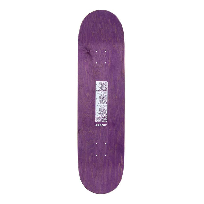 ARBOR ACE PELKA ANATOMY SMU BLACK DECK (8.5)