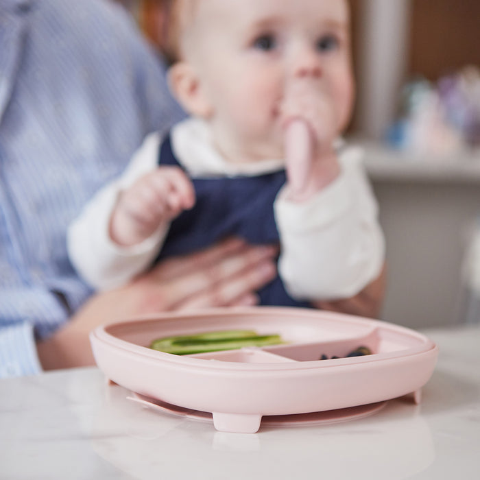 bbox 2 in 1 Suction Plate with Divider - Assorted