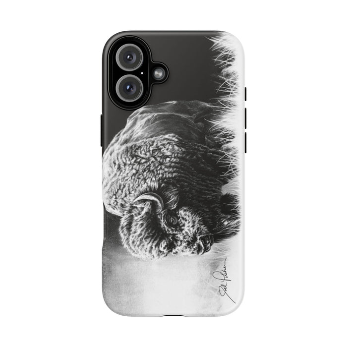 iPhone 16 Plus / Matte