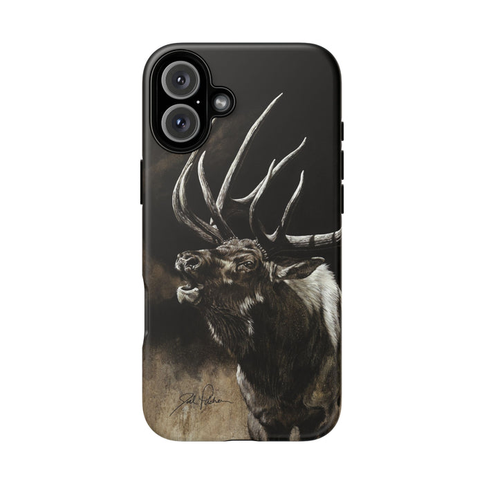 iPhone 16 Plus / Matte
