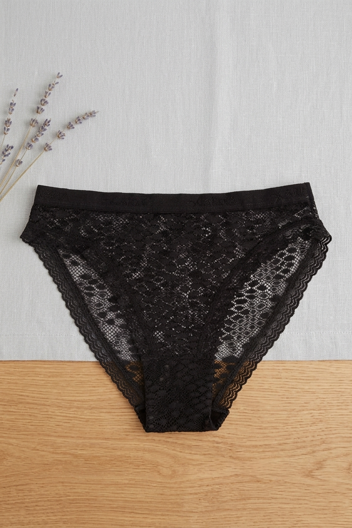 Elegance Lace Brief Panty