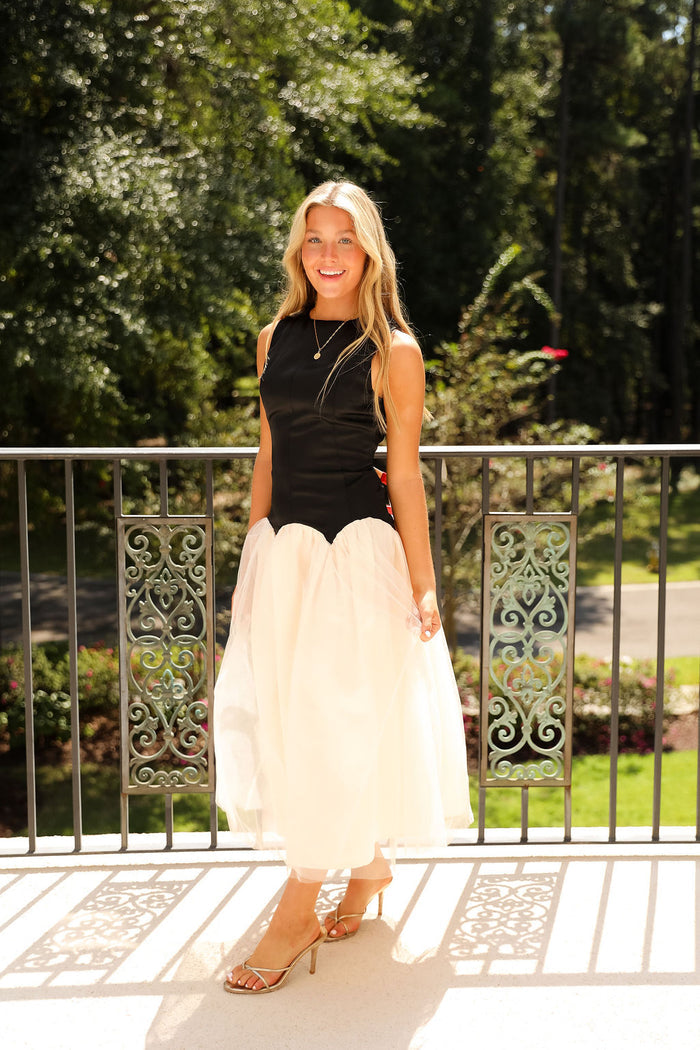 Elodie Dress - Black/Ivory
