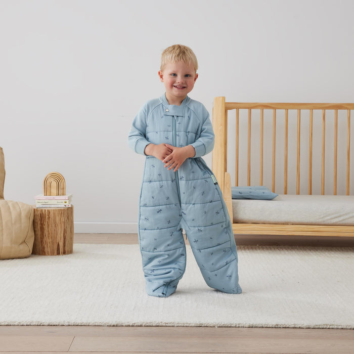 ergoPouch Sleep Suit Bag TOG 2.5 - Dragonflies