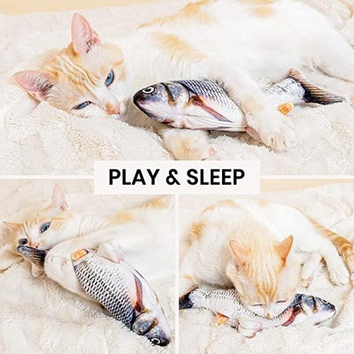 Floppy Fish Cat Toy