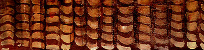 Gallery Grand - April - Floral Series (Turtles)