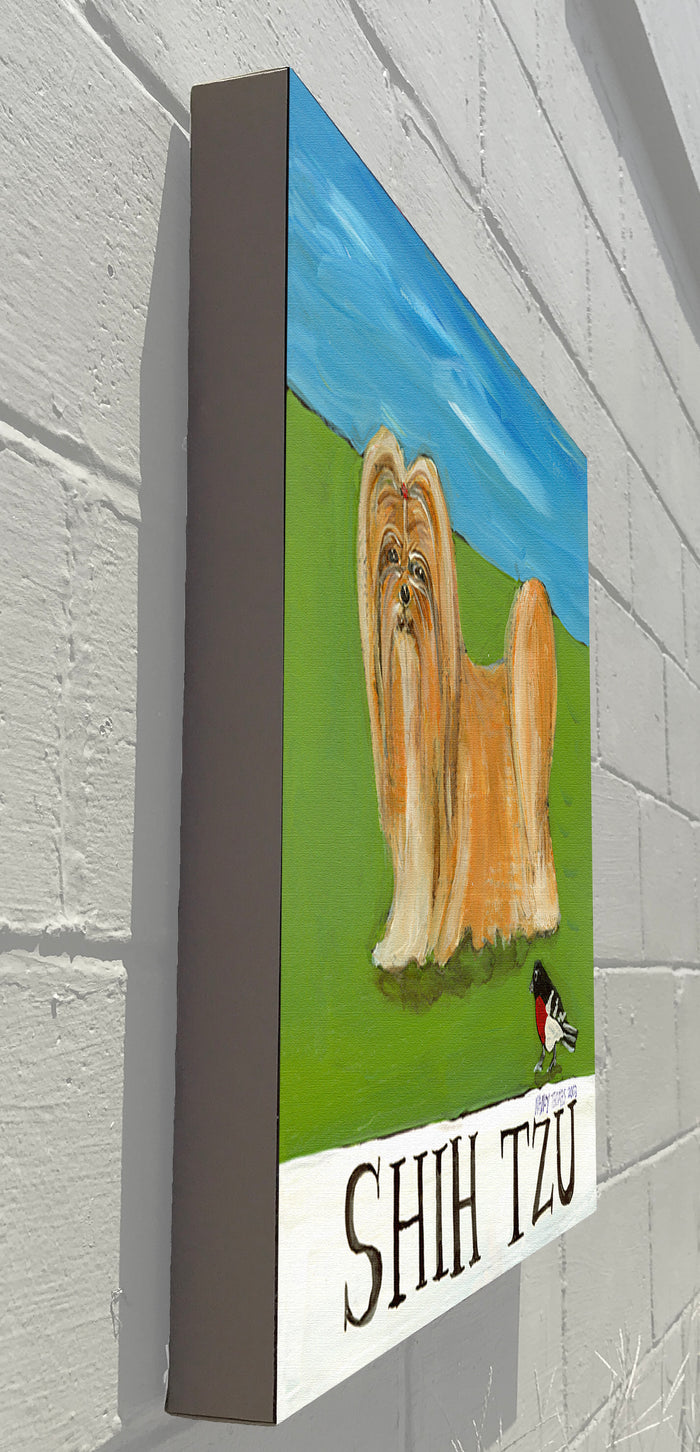 Gallery Grand - Doggie - Shih Tzu