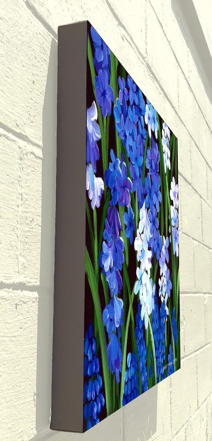Gallery Grand - Garden Hyacinth