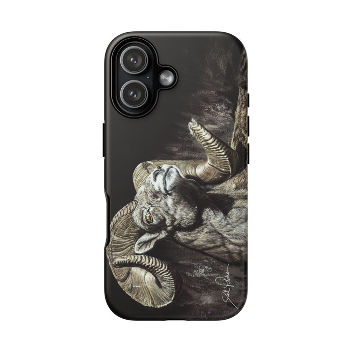 iPhone 17 / Matte