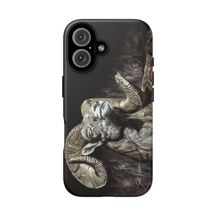 iPhone 16 / Matte