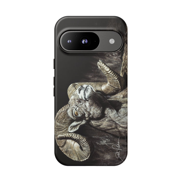 Google Pixel 9 / Matte