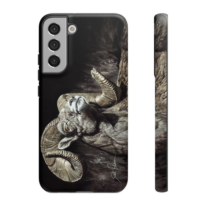 Samsung Galaxy S22 Plus / Matte