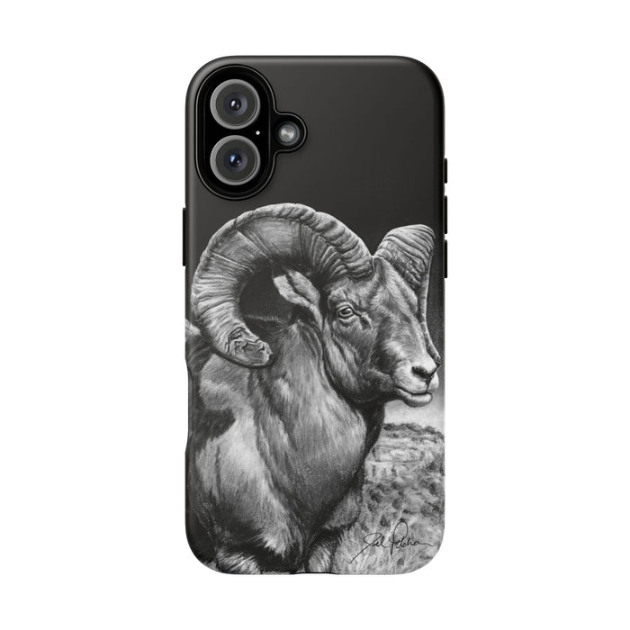 iPhone 16 Plus / Matte