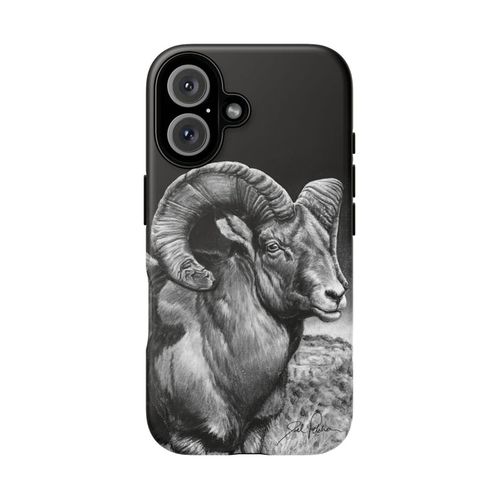 iPhone 16 / Matte