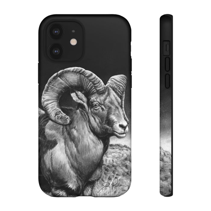 iPhone 12 / Matte