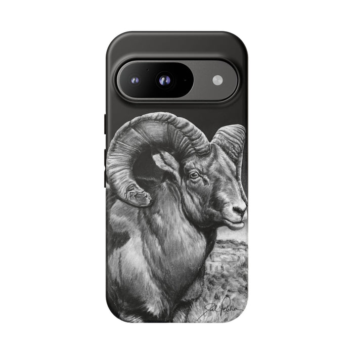 Google Pixel 9 / Matte