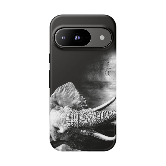 Google Pixel 9 / Matte