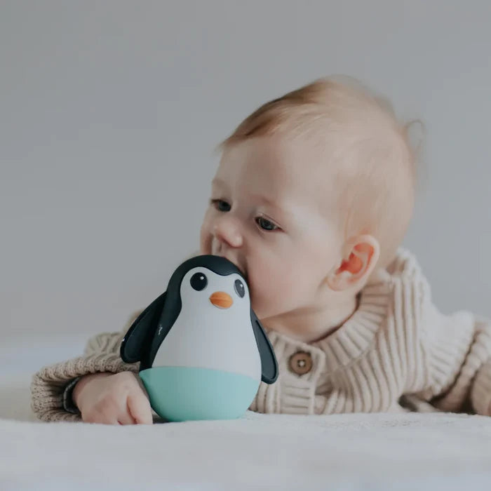 Jellystone Penguin Wobble Sensory Toy - Assorted
