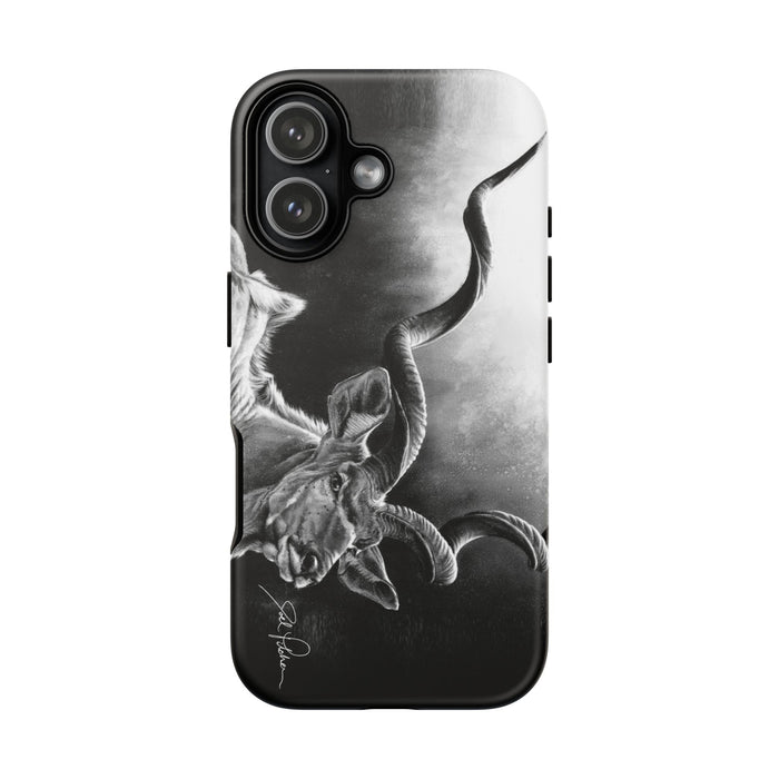 iPhone 17 / Matte