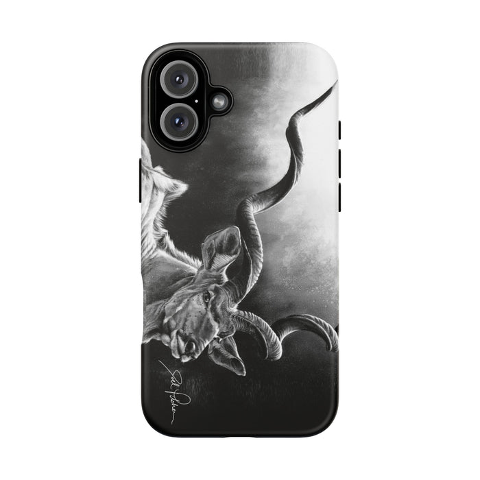 iPhone 16 Plus / Matte
