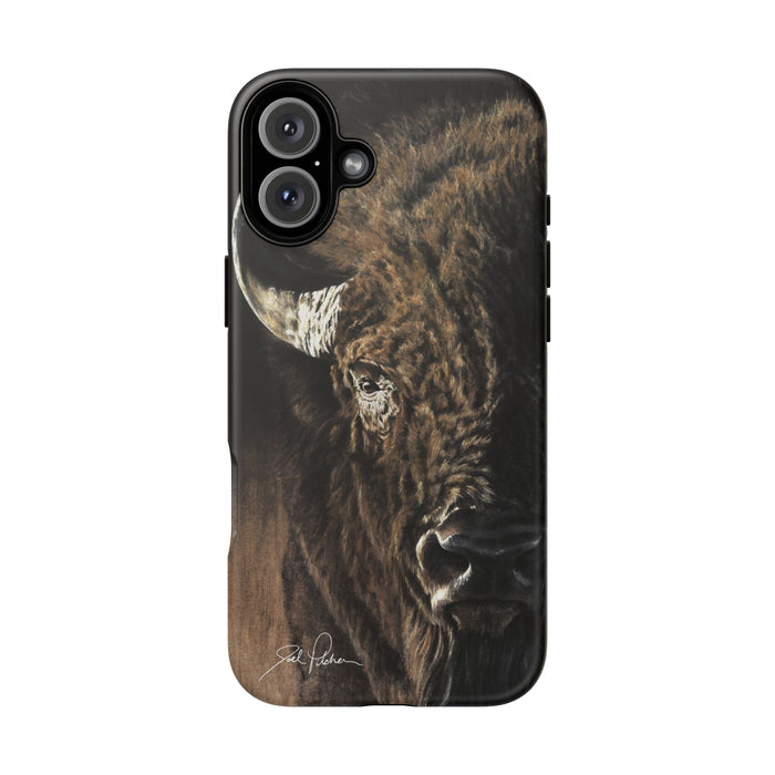 iPhone 16 Plus / Matte