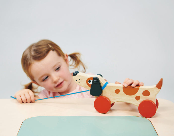 Mentari Wooden Puppy On Wheels Pull Along