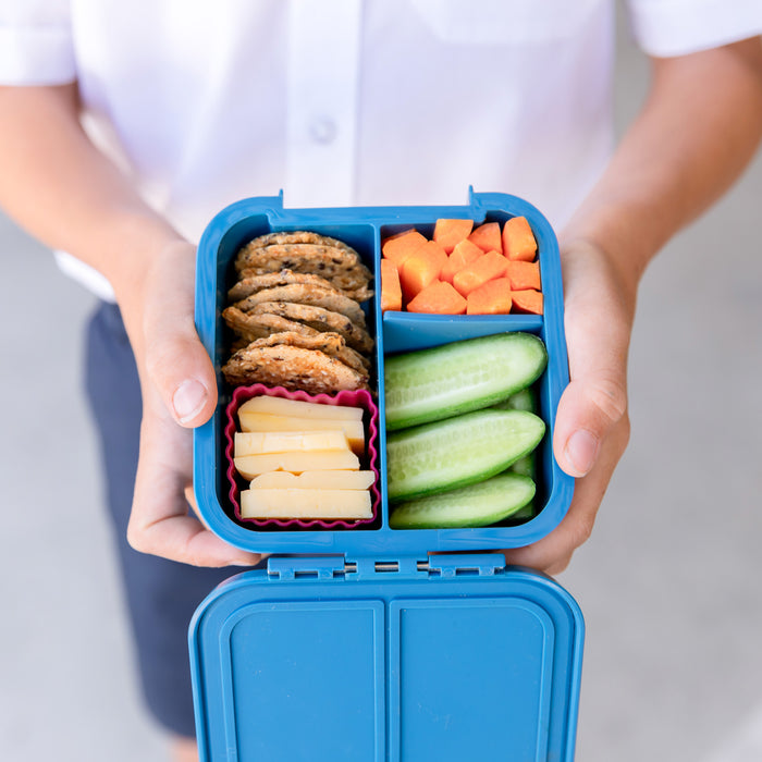 Montiico Lunch Bento Cups 3 Pack - Assorted