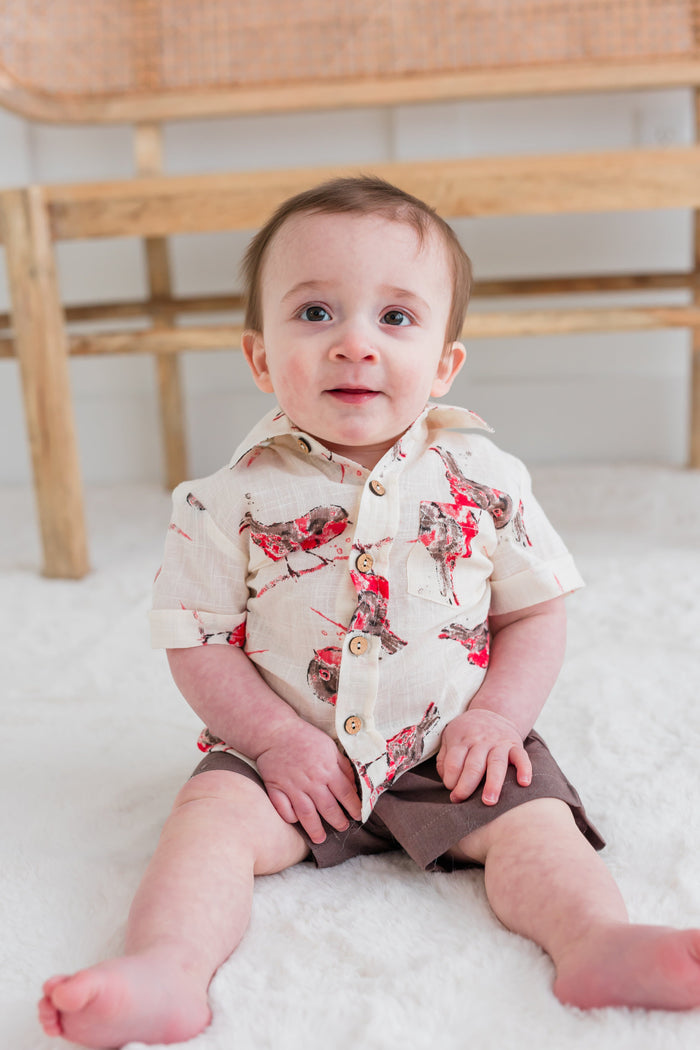Multi Color Bird Print Boys Shirt & Brown Shorts set Shirt-Shorts Yo Baby India