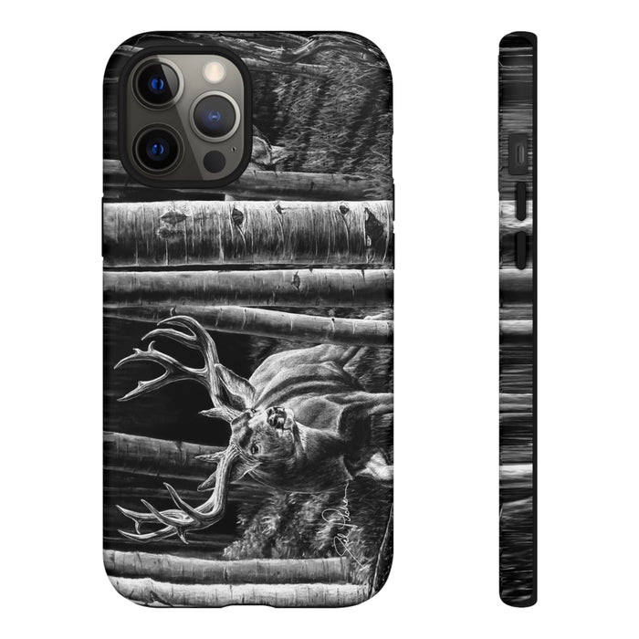 iPhone 12 Pro Max / Matte