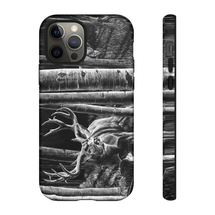 iPhone 12 Pro / Matte
