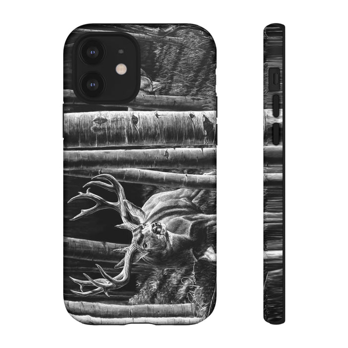 iPhone 12 / Matte