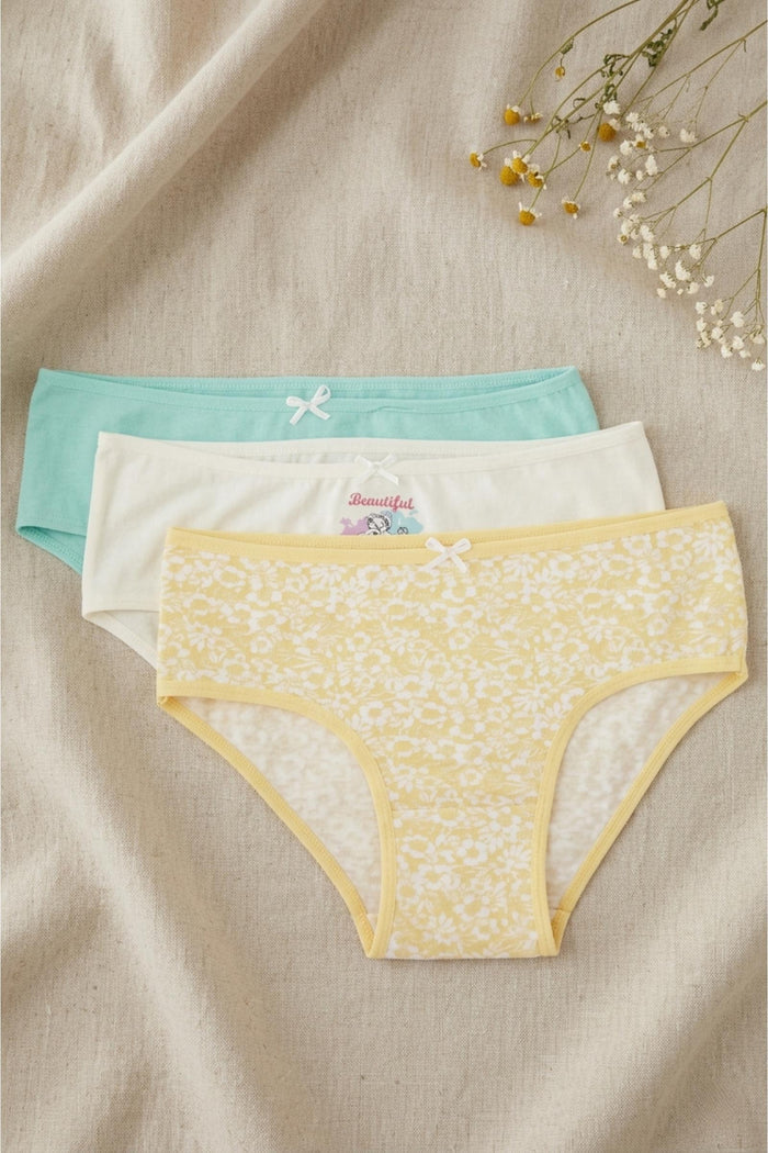 Pack of 3 Girly Brief Panties