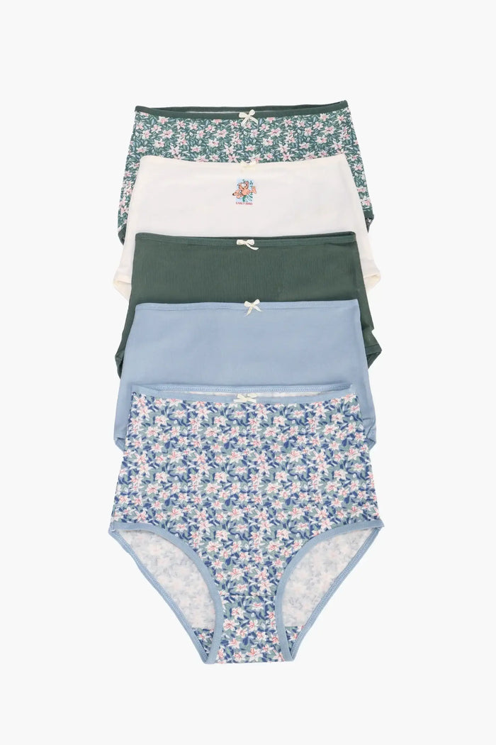 Pack of 5 Colored Full Brief Panties