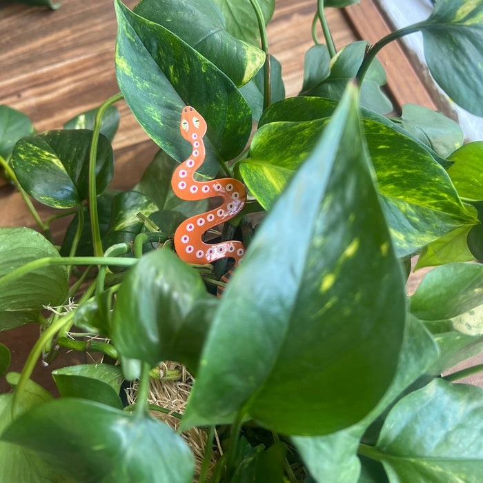Plant Pal - Snake