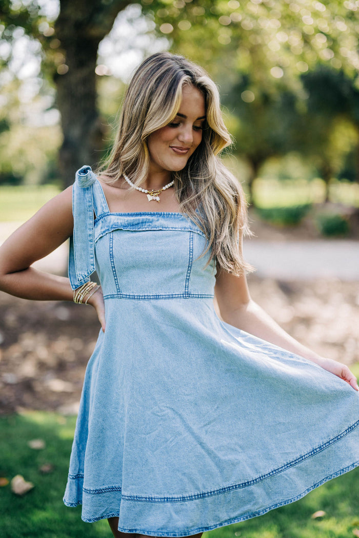 Roberts Dress - Blue