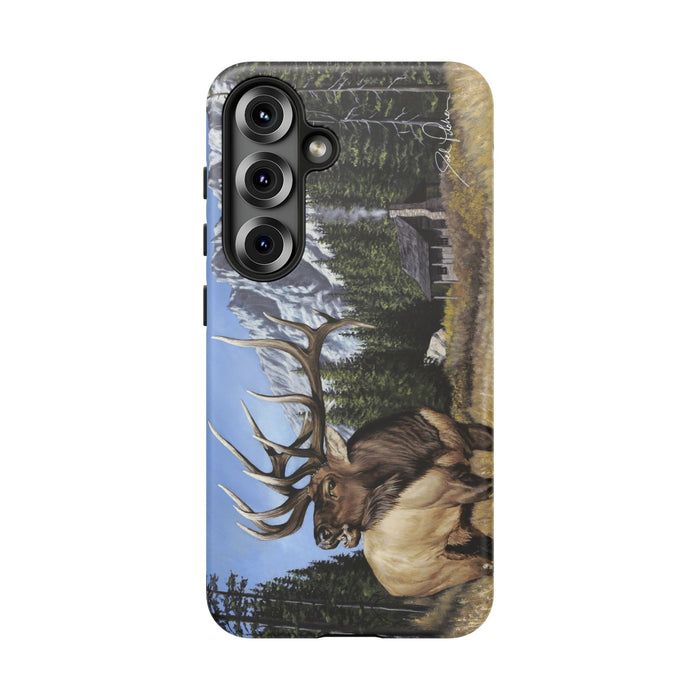 Samsung Galaxy S25 / Matte