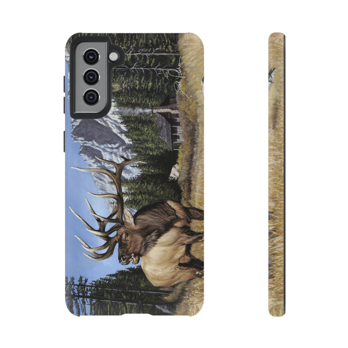 Samsung Galaxy S21 Plus / Matte