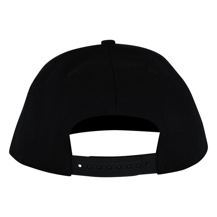 SANTA CRUZ DRESSEN CELTICDOGS SNAPBACK STRUCTURED HAT