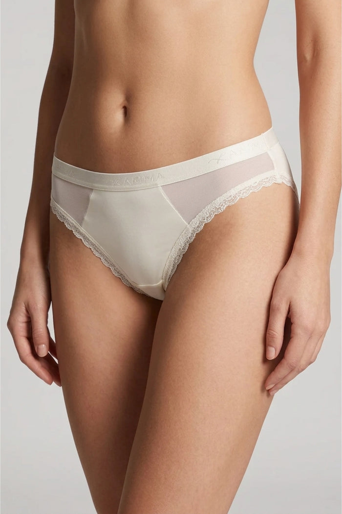 Sheer Mesh Detail Panty