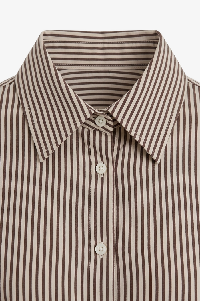 Striped Button-Down Shirt