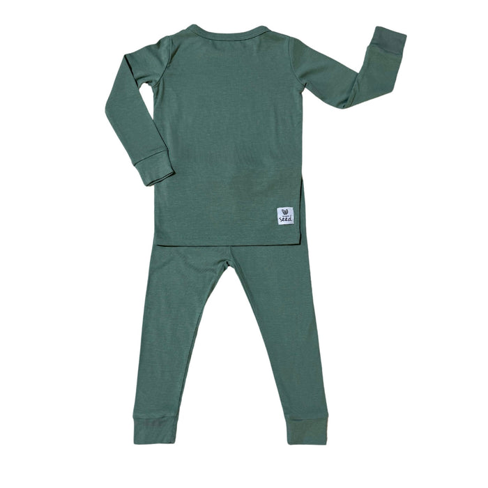 Succulent Two Piece Jammie Set (18-24 mth- 5T)