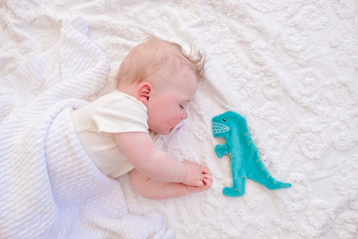 Tikiri Crinkle Scrunch Sensory Toy - T-Rex