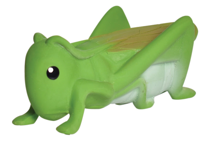 Grasshopper
