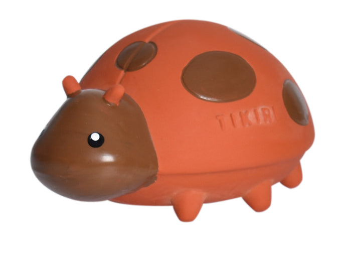 Ladybug