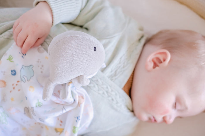 Tikiri Ocean Organic Comforter - Whale